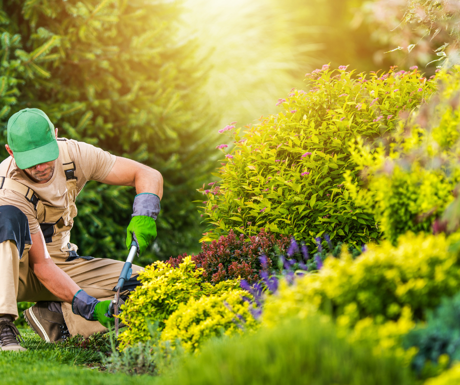 شركة لاندسكيب في دبي